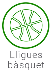 lliguesbasquet